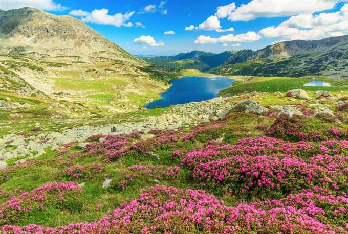 Retezat National Park