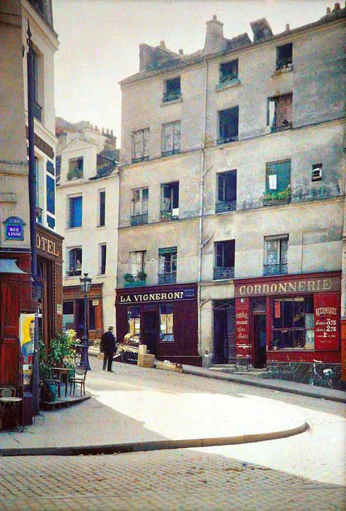 Place Jussieu - rue Linné